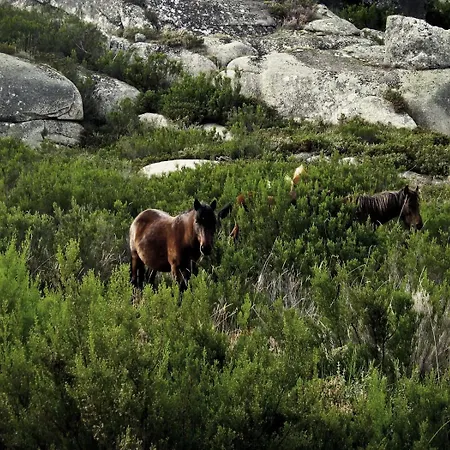 Castrum Villae By Walk Szálloda 3*