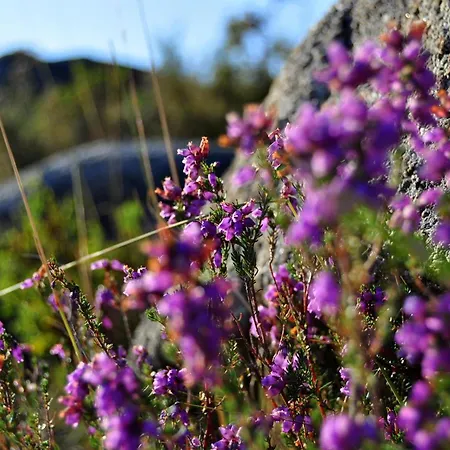 Castrum Villae By Walk 3*