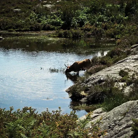 Castrum Villae By Walk