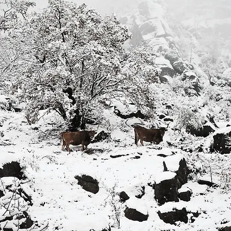 Castrum Villae By Walk