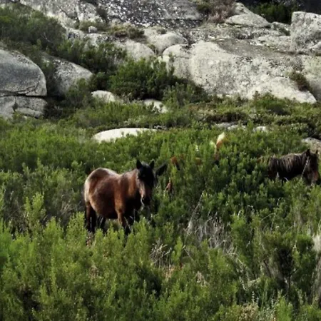 Castrum Villae By Walk ホテル