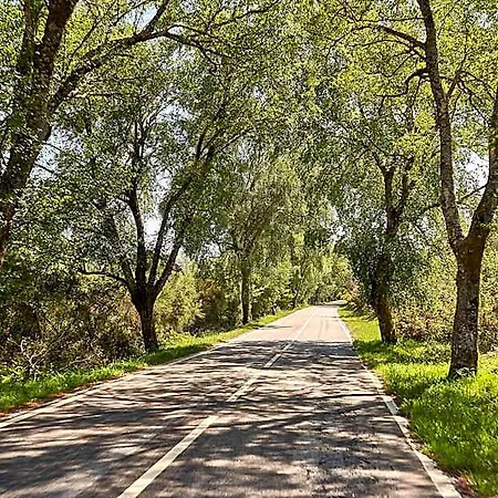 מלון Castrum Villae By Walk קסטרו לבוריירו