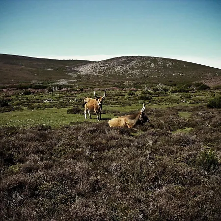 Castrum Villae By Walk Hotel