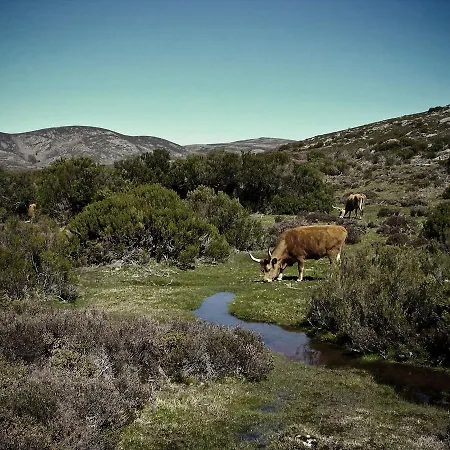 Hotel Castrum Villae By Walk 3*