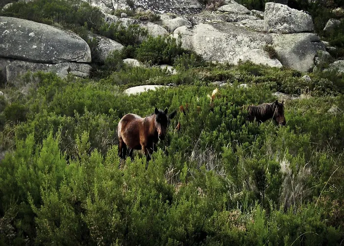 Castrum Villae By Walk Hotel 3*