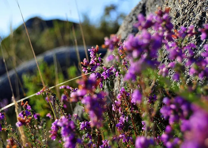 Castrum Villae By Walk 3*