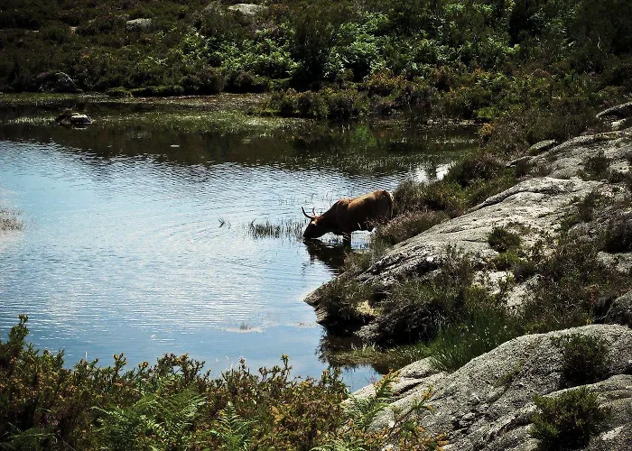 Castrum Villae By Walk
