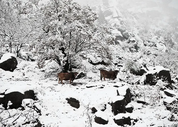 Castrum Villae By Walk