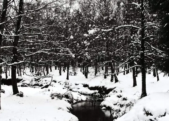 Castrum Villae By Walk Castro Laboreiro