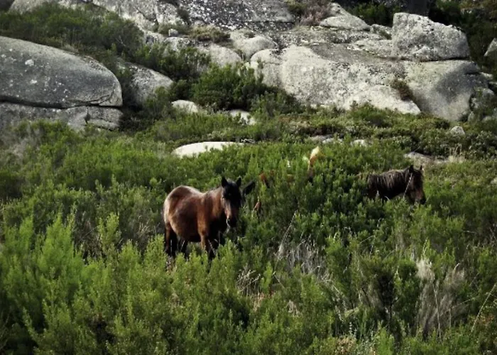 Castrum Villae By Walk Szálloda