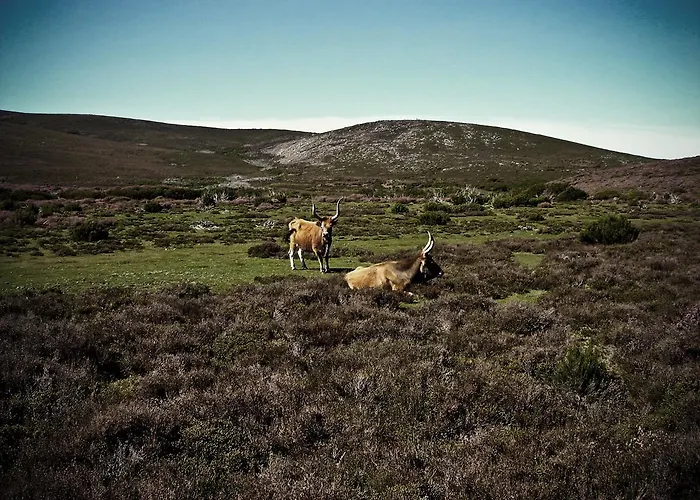 Castrum Villae By Walk Hotel