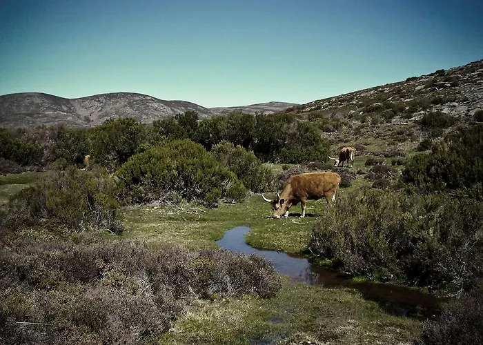 Szálloda Castrum Villae By Walk 3*